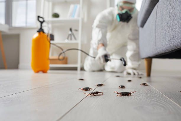 Commercial Kitchen Cockroach Control in Bremerton